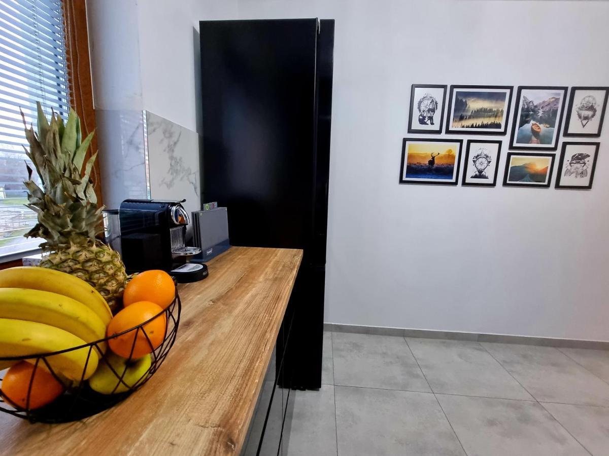 Apartament Jelonek W Karkonoszach Jelenia Góra Екстериор снимка