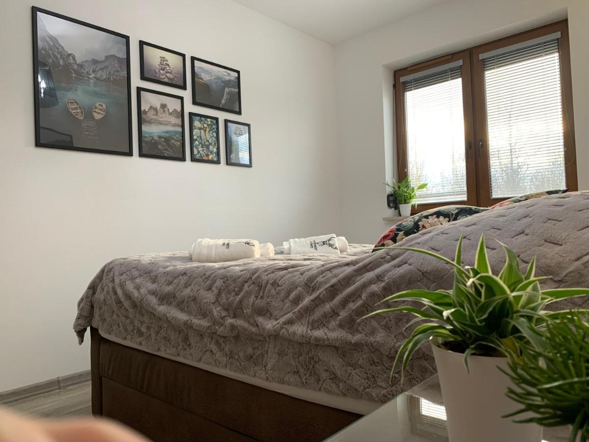 Apartament Jelonek W Karkonoszach Jelenia Góra Екстериор снимка